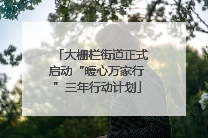 大栅栏街道正式启动“暖心万家行”三年行动计划