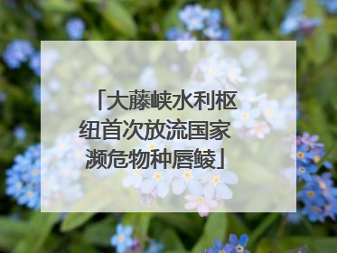 大藤峡水利枢纽首次放流国家濒危物种唇鲮