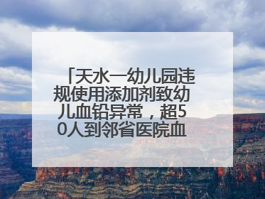 天水一幼儿园违规使用添加剂致幼儿血铅异常，超50人到邻省医院血检，天水派专员到西安协助