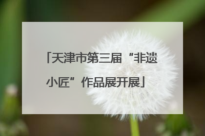 天津市第三届“非遗小匠”作品展开展