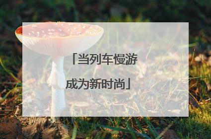 当列车慢游成为新时尚