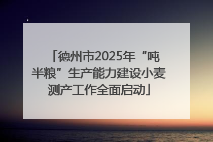 德州市2025年“吨半粮”生产能力建设小麦测产工作全面启动