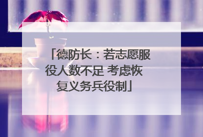 德防长：若志愿服役人数不足 考虑恢复义务兵役制