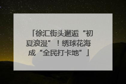 徐汇街头邂逅“初夏浪漫”！绣球花海成“全民打卡地”