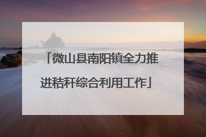 微山县南阳镇全力推进秸秆综合利用工作