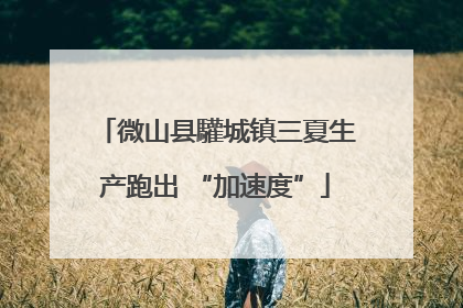 微山县驩城镇三夏生产跑出 “加速度”