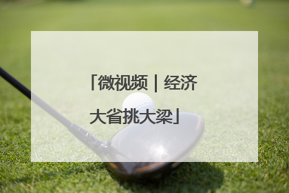 微视频｜经济大省挑大梁