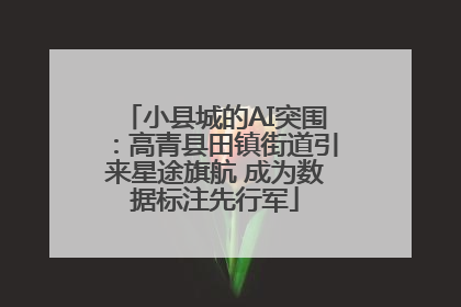 小县城的AI突围：高青县田镇街道引来星途旗航 成为数据标注先行军