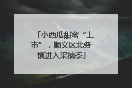 小西瓜甜蜜“上市”，顺义区北务镇进入采摘季
