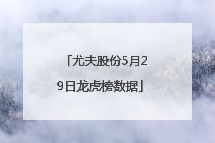 尤夫股份5月29日龙虎榜数据