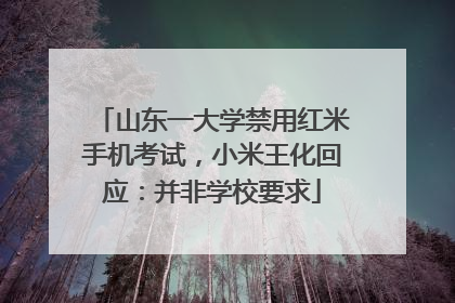山东一大学禁用红米手机考试，小米王化回应：并非学校要求