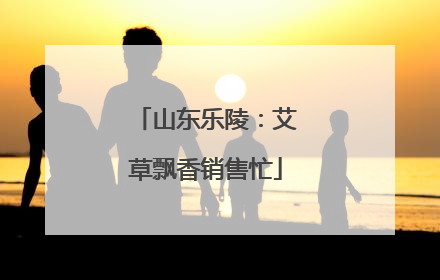 山东乐陵：艾草飘香销售忙