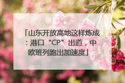 山东开放高地这样炼成：港口“CP”出道，中欧班列跑出加速度