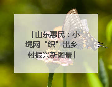 山东惠民：小绳网“织”出乡村振兴新图景