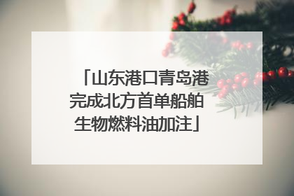 山东港口青岛港完成北方首单船舶生物燃料油加注