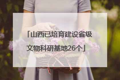山西已培育建设省级文物科研基地26个