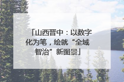 山西晋中：以数字化为笔，绘就“全域智治”新图景
