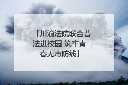 川渝法院联合普法进校园 筑牢青春无毒防线