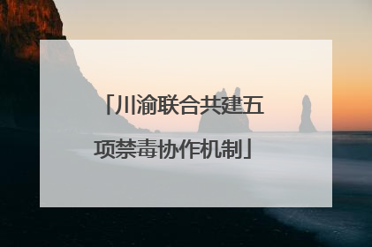 川渝联合共建五项禁毒协作机制