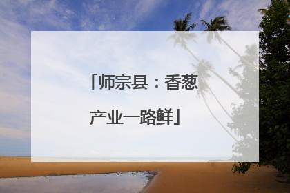 师宗县：香葱产业一路鲜