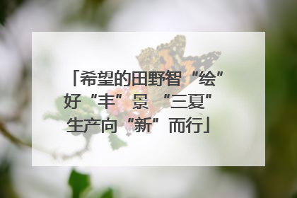 希望的田野智“绘”好“丰”景 “三夏”生产向“新”而行