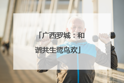 广西罗城：和谐共生鹭鸟欢