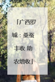 广西罗城：桑蚕丰收 助农增收