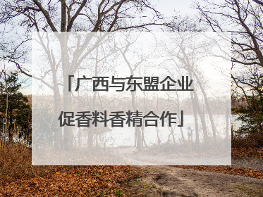 广西与东盟企业促香料香精合作