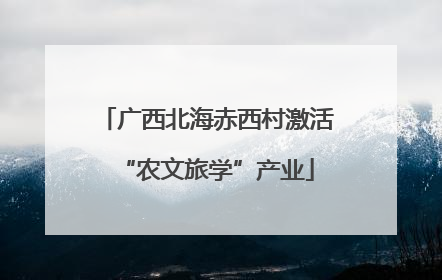 广西北海赤西村激活“农文旅学”产业