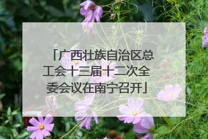广西壮族自治区总工会十三届十二次全委会议在南宁召开