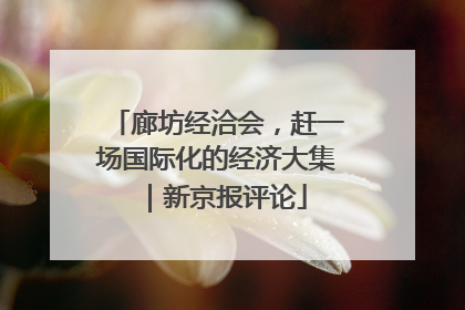 廊坊经洽会，赶一场国际化的经济大集｜新京报评论