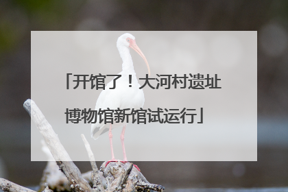开馆了！大河村遗址博物馆新馆试运行
