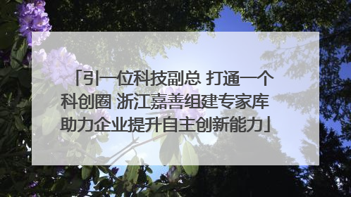 引一位科技副总 打通一个科创圈 浙江嘉善组建专家库助力企业提升自主创新能力