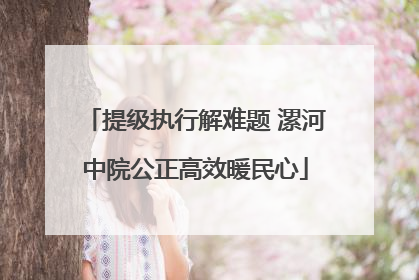 提级执行解难题 漯河中院公正高效暖民心