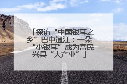 探访“中国银耳之乡”巴中通江：一朵“小银耳”成为富民兴县“大产业”