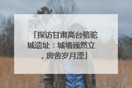 探访甘肃高台骆驼城遗址：城墙巍然立，房舍岁月湮