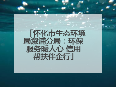 怀化市生态环境局溆浦分局：环保服务暖人心 信用帮扶伴企行