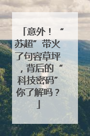 意外！“苏超”带火了句容草坪，背后的“科技密码”你了解吗？
