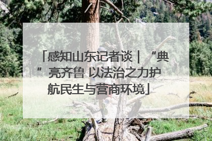 感知山东记者谈｜“典”亮齐鲁 以法治之力护航民生与营商环境