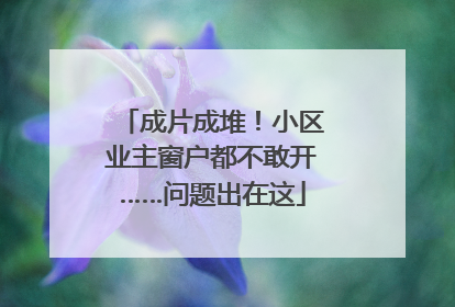 成片成堆！小区业主窗户都不敢开……问题出在这