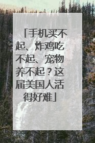 手机买不起、炸鸡吃不起、宠物养不起？这届美国人活得好难