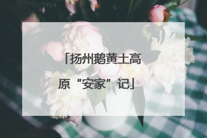 扬州鹅黄土高原“安家”记