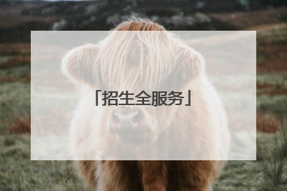 招生全服务