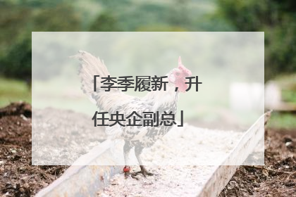 李季履新，升任央企副总