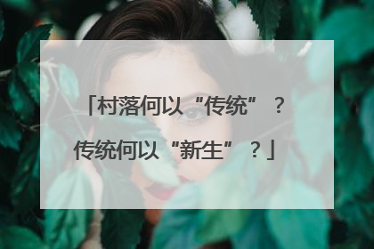 村落何以“传统”？传统何以“新生”？
