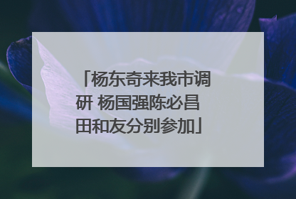 杨东奇来我市调研 杨国强陈必昌田和友分别参加