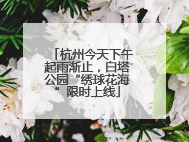 杭州今天下午起雨渐止，白塔公园“绣球花海”限时上线