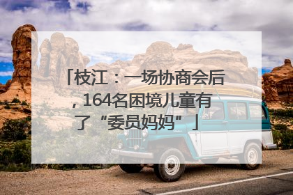 枝江：一场协商会后，164名困境儿童有了“委员妈妈”