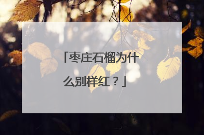 枣庄石榴为什么别样红？