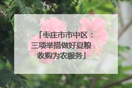 枣庄市市中区：三项举措做好夏粮收购为农服务